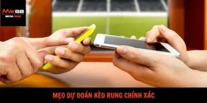 Mẹo Dự Đoán Kèo Rung Chính Xác Dành Cho Tân Thủ